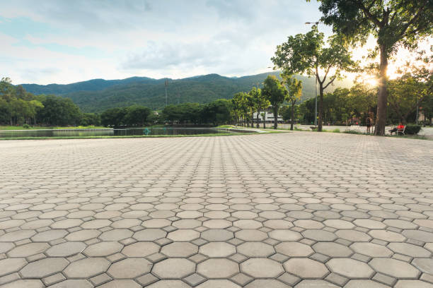 Best Concrete Paver Driveway  in Tye, TX