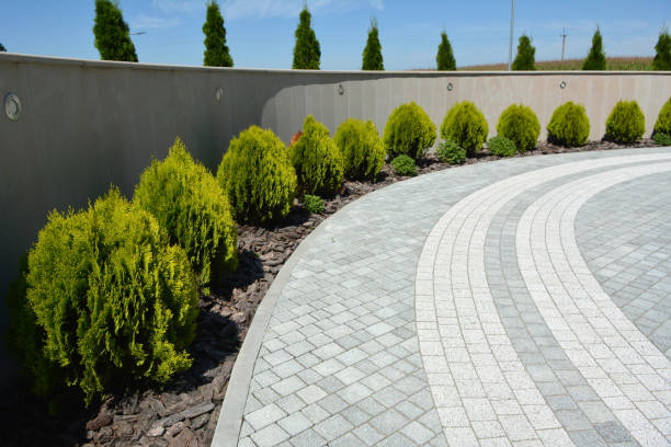 Best Professional Driveway Pavers  in Tye, TX